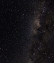 ¿Cómo levantar a un escorpio? ¡Seguí nuestros tips!